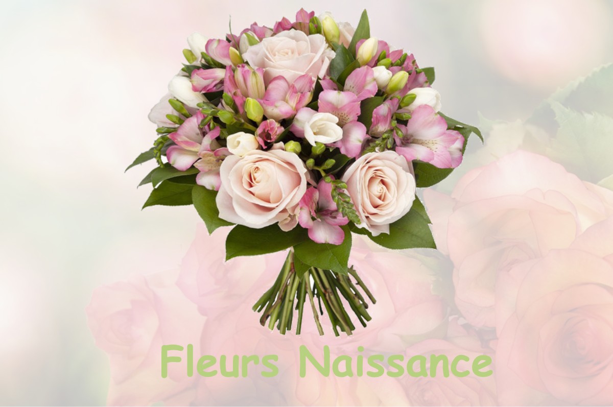 fleurs naissance MERVILLE-FRANCEVILLE-PLAGE